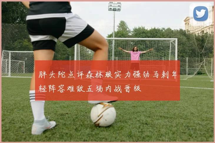 胖头陀点评森林狼实力强劲马刺年轻阵容难敌五场内战晋级